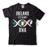 Ireland Flag Shirt Ireland Patriotic Shirt Saint Patrick's Day Patriotic Tee Unisex T-Shirt