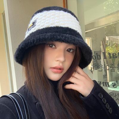 Korean Version of Autumn and Winter New Hat for Women Plush Fisherman Hat for Women High-end Metal Label for Winter Warm Face-showing Small Basin Hat