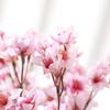 Simulation Flower Peach Blossom Artificial Decorative Blossom Flower for Home Indoor Outdoor Decor