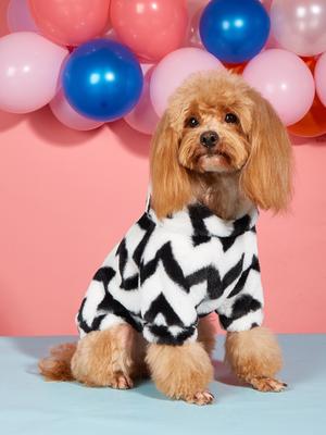Roupa e sapatos – Camisolas com capuz para cães