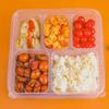Disposable Compartmented Lunch Box with Lid