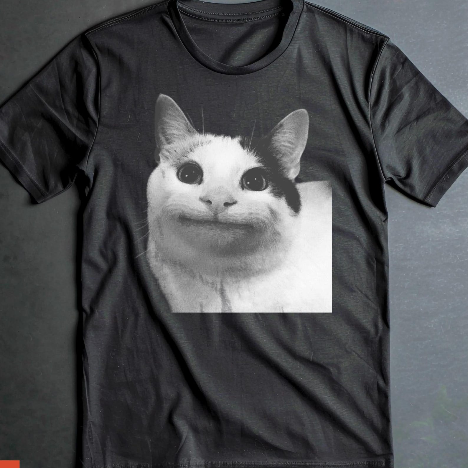 Funny Meme Cat Shirt,Sad Kitten Meme Standing Cat T-Shirt, Gift shirt S