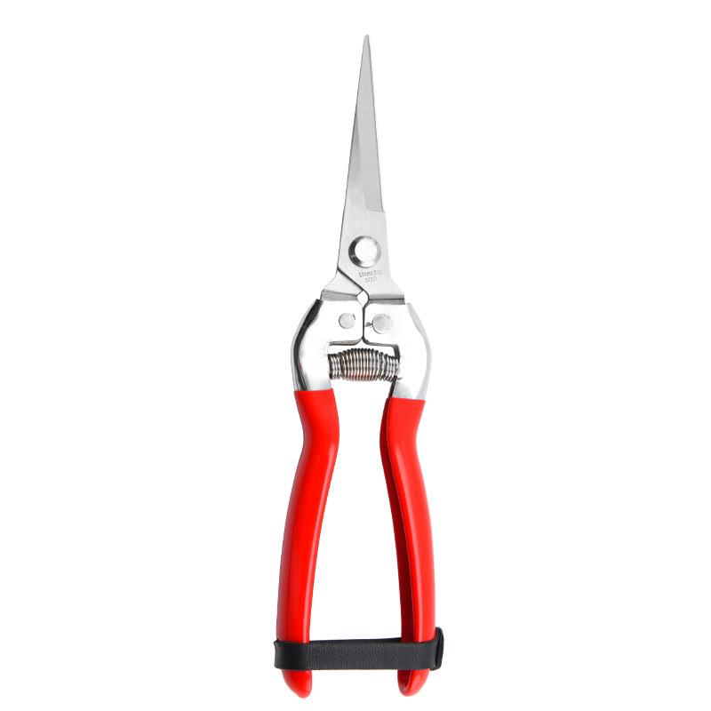 

Plastic-Dipped Garden Shears for Pruning Fruit and Tree Branches