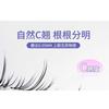 Jesireca - Multipack False Eyelashes (Various Designs)