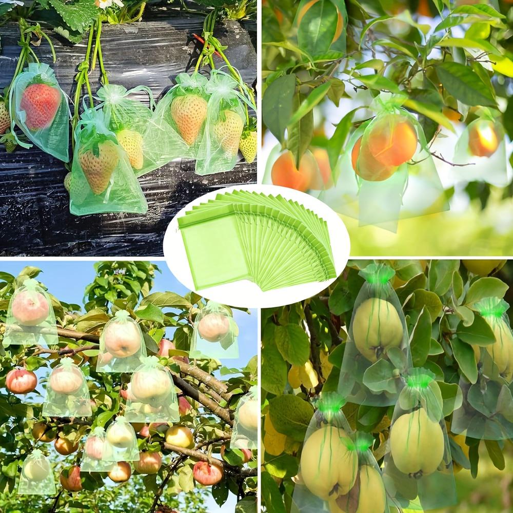 100 Stück Wiederverwendbare Obstgarten-Netzbeutel für Pflanzenschutzbeutel - Atmungsaktives Organza mit Kordelzug-Netzbeuteln, Insekten- und Vogelschutz