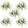 Deko & Wohnaccessoires – Künstliche Blumen & Kränze