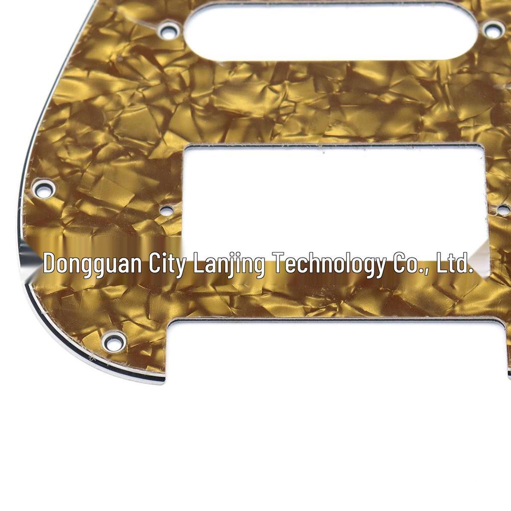 Double Electric Guitar Pickguard with Front Cover for ST SQ