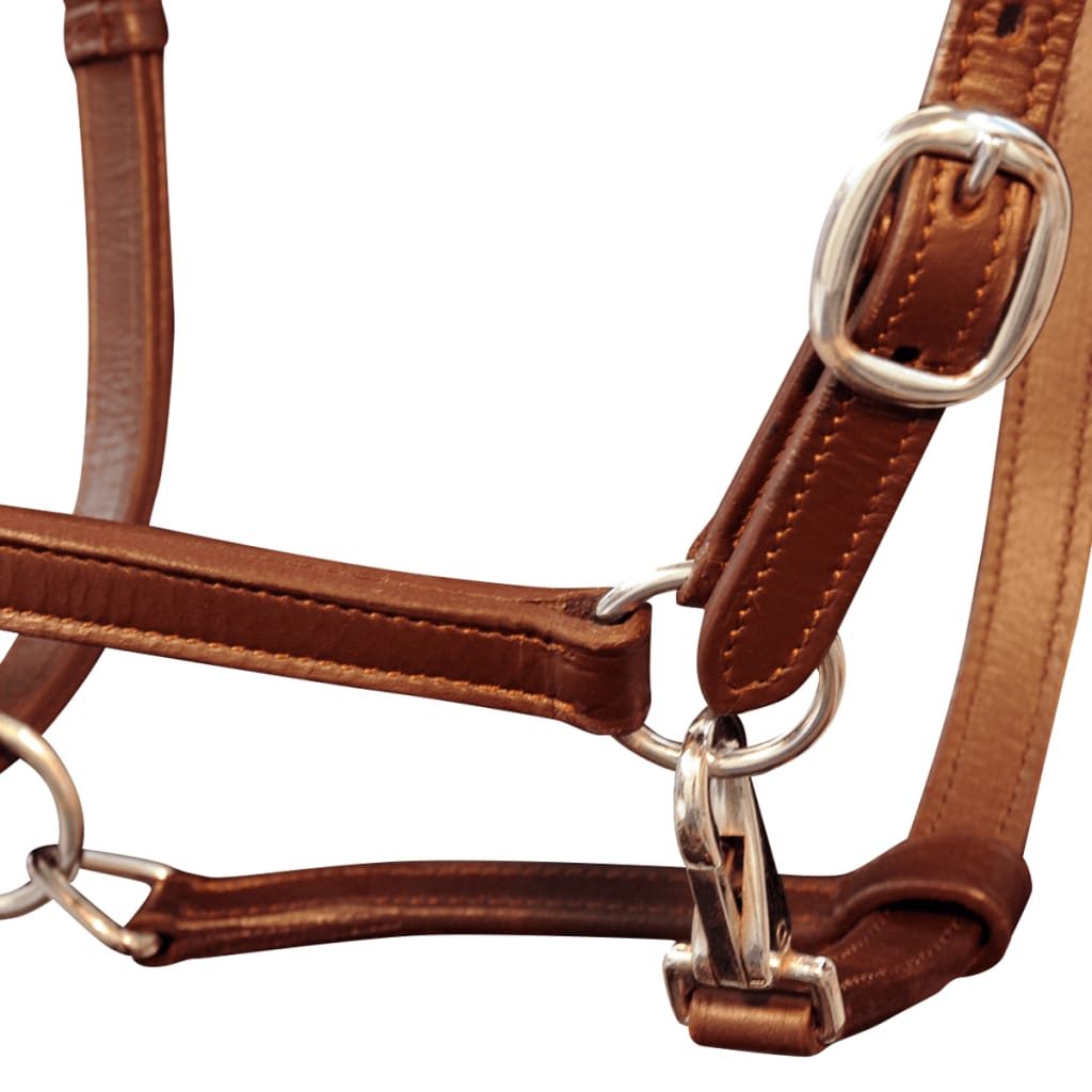 English Leather Halter Adjustable Stable Halter Brown Full Size