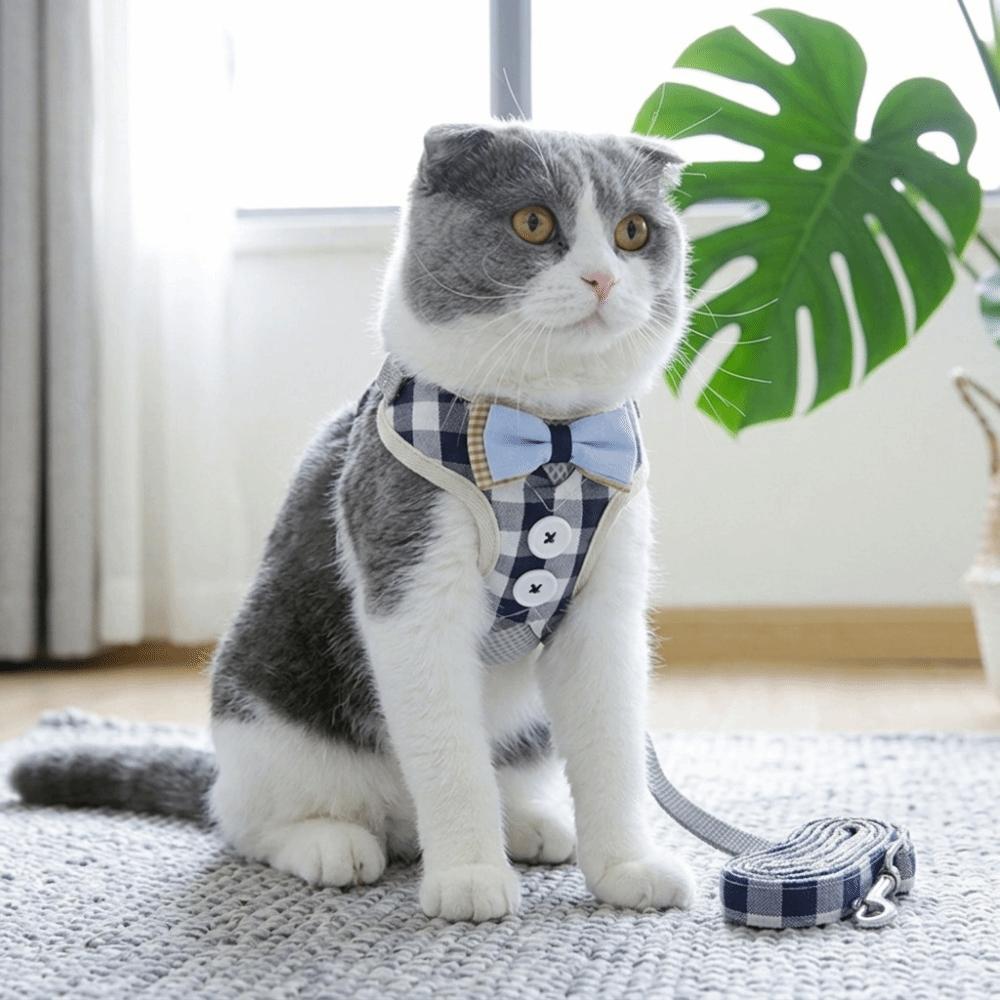 Adjustable Strap Cat Harness Set Adjustable Cat Leash Kitten Daily Activity