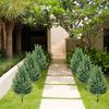 Christmas Decoration Courtyard Indoor And Outdoor Home Decorations Simulation And Ground Plugs