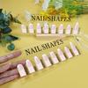 Acrylic Nail Shapes Display Board With Wood Base Mannequin Fingertips And Nail Shape Guide Static Artwork Sign For Salon Decor