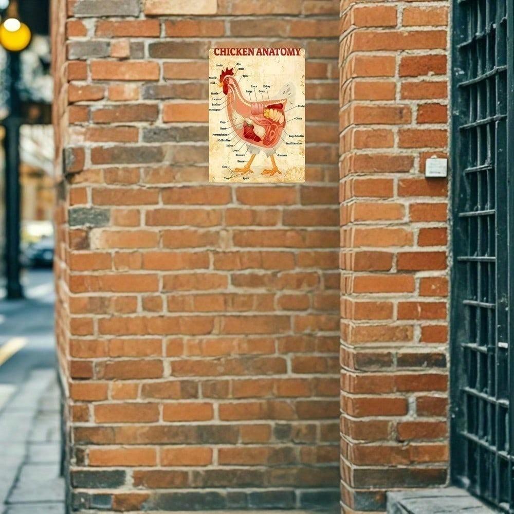 Vintage Chicken Anatomy Metal Tin Sign Retro Farmhouse Wall Art Bar Decor 8x12 Inch Unframed Plaque