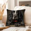 1pc Pillowcase, Pattern Depicts British Cavalier King Charles Spaniel, Soft Smooth Short Plush Fabric, Single-Sided Printed, 45Cm X 45Cm, Ideal for De
