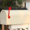 12Pcs Gardening Bird Repellent Mat Fence Wall Spikes Bird Spikes Burglar Anti Cat Climb Anti-Bird Spikes Straps Yard Supply Tool