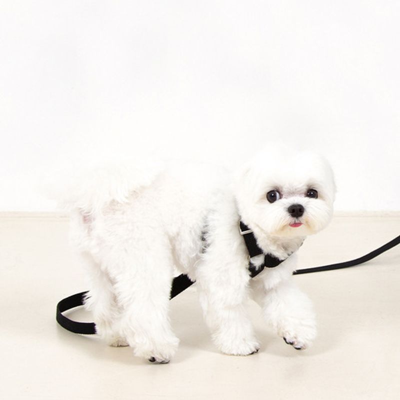 Foreverybari Geschirrset (schwarz)