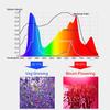 50W Phyto Lamp Full Spectrum for Greenhouse Hydroponic Plants Growing Lamp Standing for Seedlings LED Grow Light