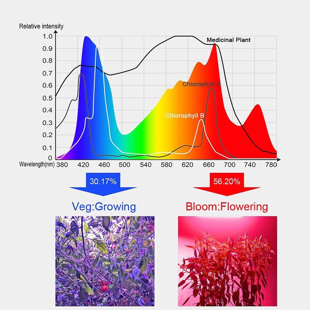 50W Phyto Lamp Full Spectrum for Greenhouse Hydroponic Plants Growing Lamp Standing for Seedlings LED Grow Light