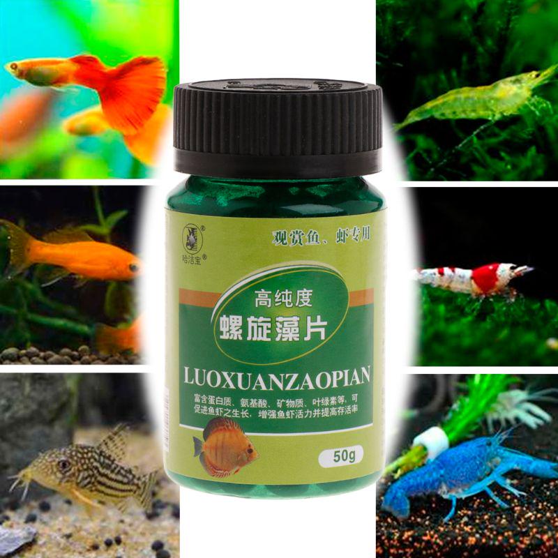 spirulina aquarium