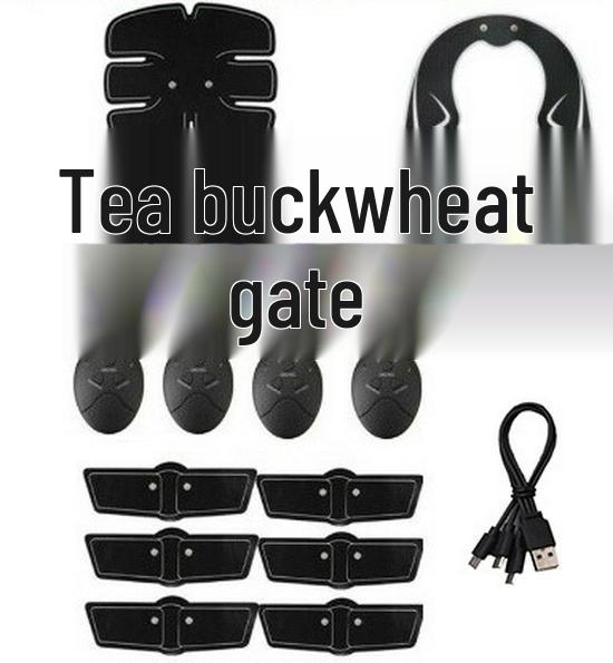 Smart EMS Abdominal & Buttocks Stimulator Set: Ab Trainer & Lifter Patch