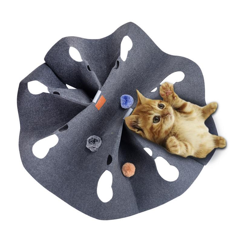 cat play blanket