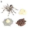 4Pcs/5Pcs Frog Tarantula Butterfly Bee Animal Growth Observation Model Toys