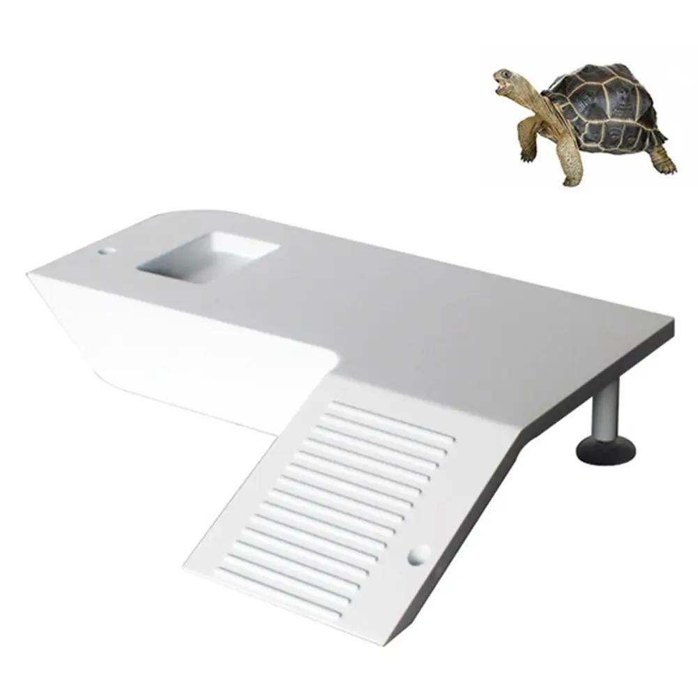 Water Land Slope Box Feeding Climbing Platform Pet Turtle Frog Hamster Cage Scorpion Lizard Safe House Breeding Box Accessories