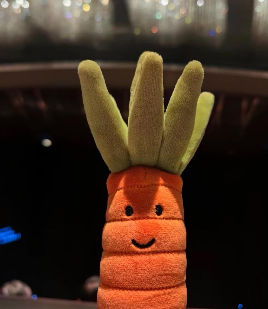 Kolekce plyšových klíčenek ve stylu Jellycat: Roztomilá panenka, hračka, dárek