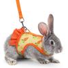 1 Set Pet Harness Leash Stylish Cute Cartoon Pattern Guinea Pig Rabbit Vest Harness Set for Outdoor Walking
