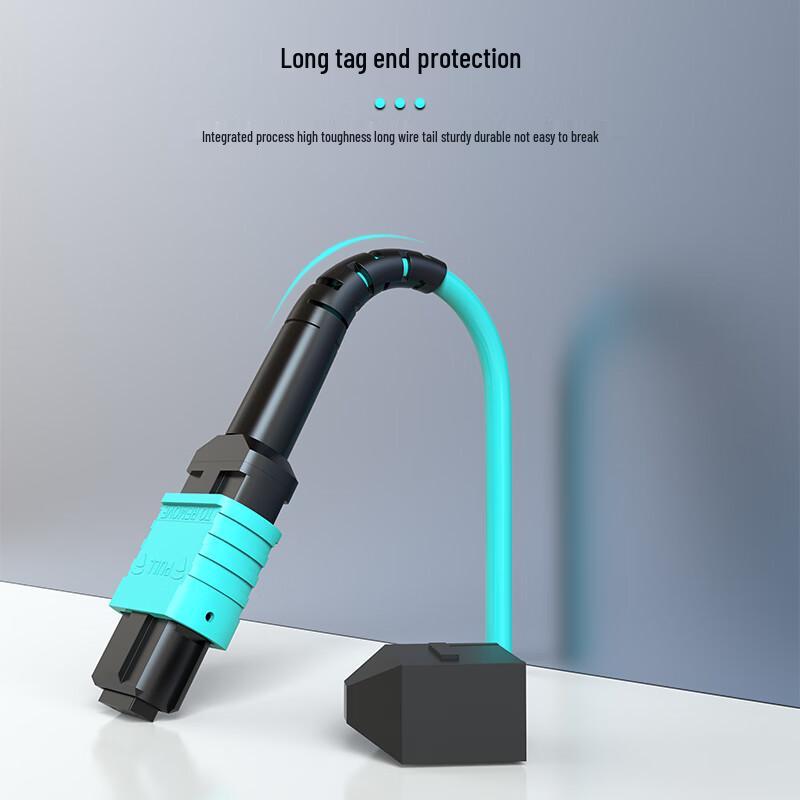 Dasheng Light MPO-MPO 8-Core OM3 Multimode Fiber Patch Cable
