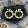 Dica 2025 Rhinestone Earrings: Classic Silver Needle Luxury Niche Design Versatile Studs