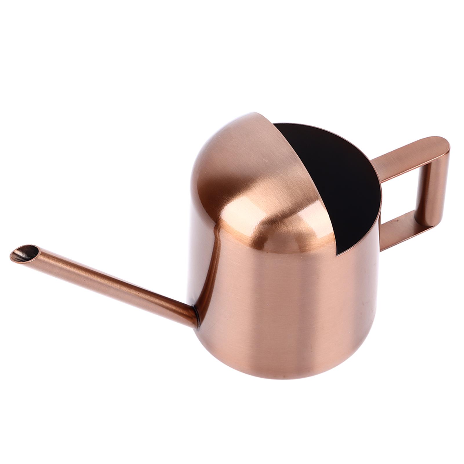 

Лейка 300 мл из нержавеющей стали с длинным носиком, полуоткрытая, с порошковым покрытием, лейка для цветов для