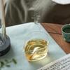 Nanshan Xiansheng Heat-Resistant Glass Tea Dispenser