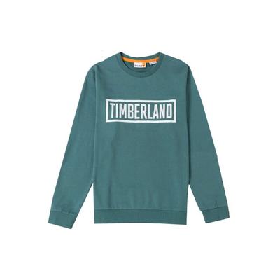 Buchstabenaufdruck Outdoor-Sport Rundhals Langarm T-Shirt Herren Tops Blaugrün A6299-CL6