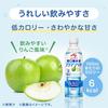 Ajinomoto Aqua Solita Oral Rehydration Solution, Apple Flavor, 500mL, 24 Bottles, Water and Electrolyte Replenishing, Case Sold