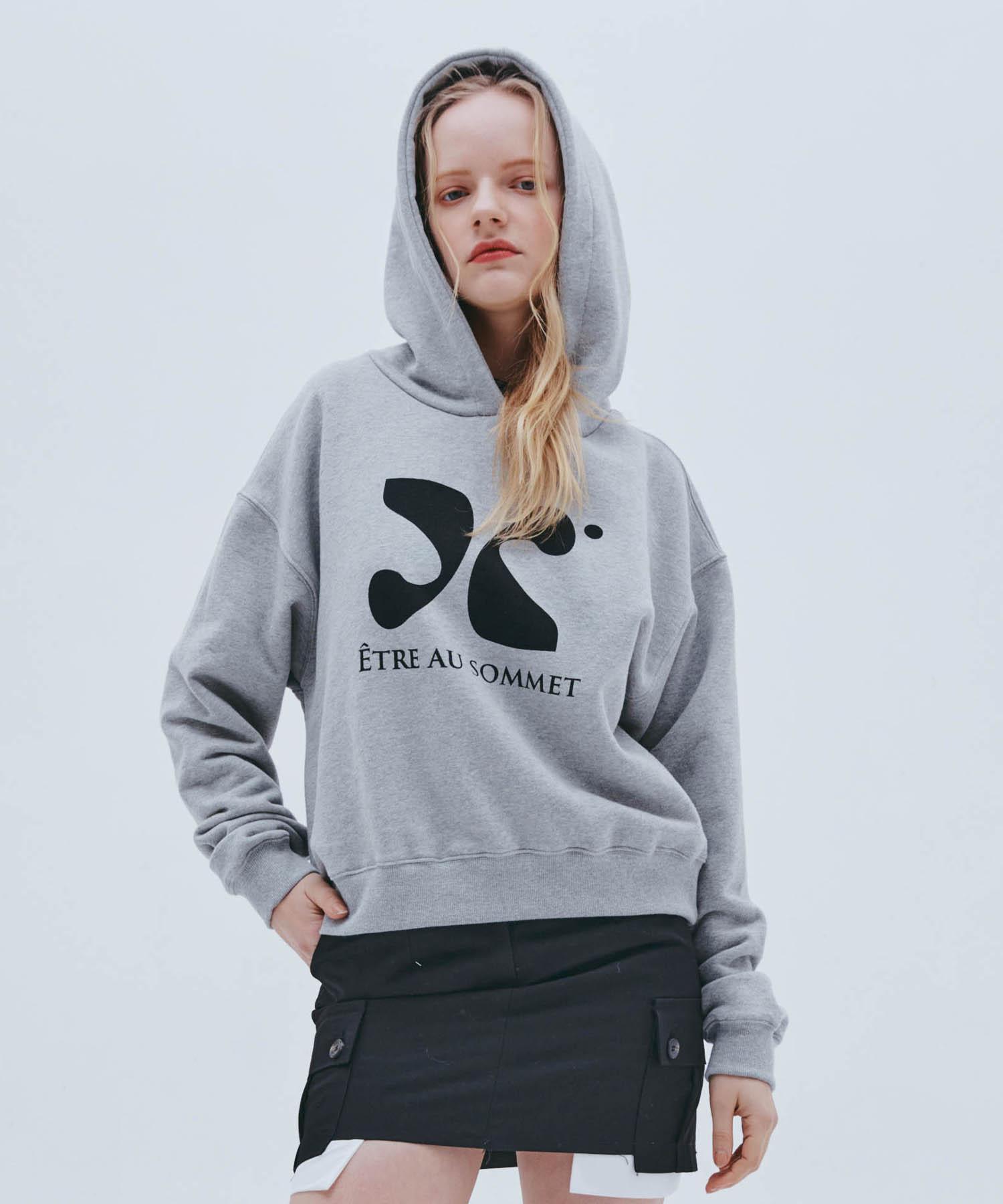 Etosome Symbol Logo Hoodie (Melange Gray) 1