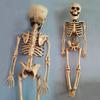 Human Skeleton Scary Skull Haunted House Halloween Prop Party Decor Atmosphere