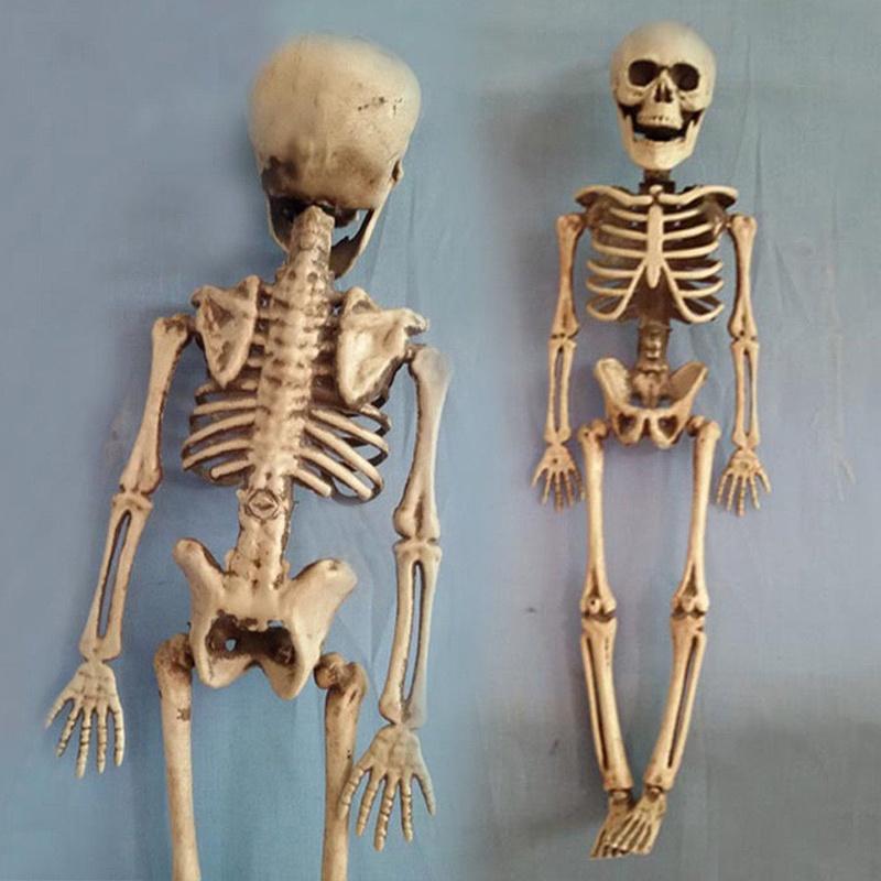 Human Skeleton Scary Skull Haunted House Halloween Prop Party Decor Atmosphere