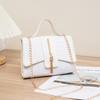 Bao Xia's New Women's Bag, Trendy Handbag, Stone Pattern Fringed Bag, Chain Oblique Span Bag, One Piece.