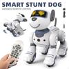 Remote Control Robot Dog Toy Toys for Boys and Girls Age 5 6 7 8 9 10