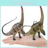 Jurassic Animal Model Pvc Diplodocus Dinosaur Desk Ornament For Dinosaur Enthusiasts