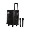 Edifier D3-8s 8-inch Portable Outdoor Speaker with Dual Mics CN Plug (adapter Included)