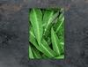 GLASS CUTTING BOARD 35x52 Green