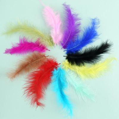 Colorful DIY Cat Teaser Accessories: Turkey Feathers for Jewelry, Pompons, and Fillings