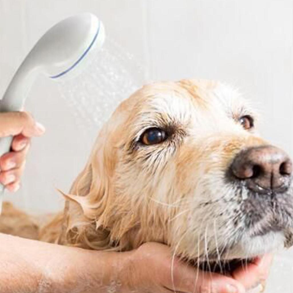 1pcs Camping Shower Pump RV Outdoor Shower Kit Camp Shower Handheld Water Pump With Hose For Camping Hiking Beach Travel