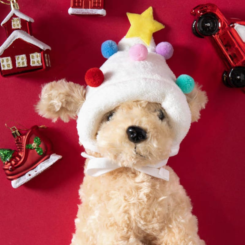 [Haustier] Baum Kostüm Hut