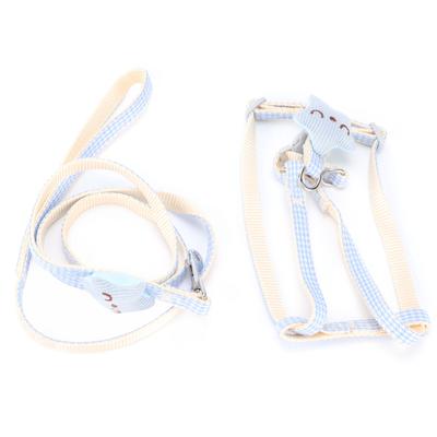 Cani – Collari e guinzagli per cani