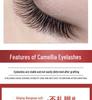 Natural Thick Camellia Eyelash Extensions - Fast Blooming Chinese False Eyelashes