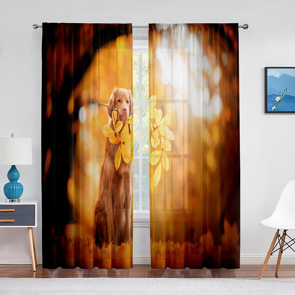 Sunset Clouds Sheer Voile Curtain Sun Rays Landscape View Art Window Tulle Curtains for Living Room Bedroom Kitchen Decorations