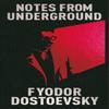 Notes du sous-sol par Fiodor Dostoïevski Livre relié 9781398865075