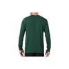 Nike T Shirts Men's Green Crew Neck Moderate Straight Fit AR5194-323